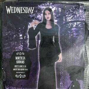 Black Morticia Addams Costume Dress